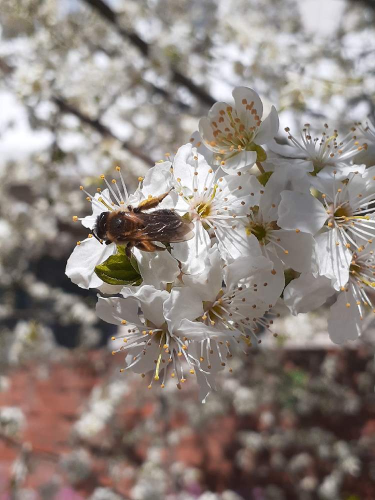 Жизнь продолжается