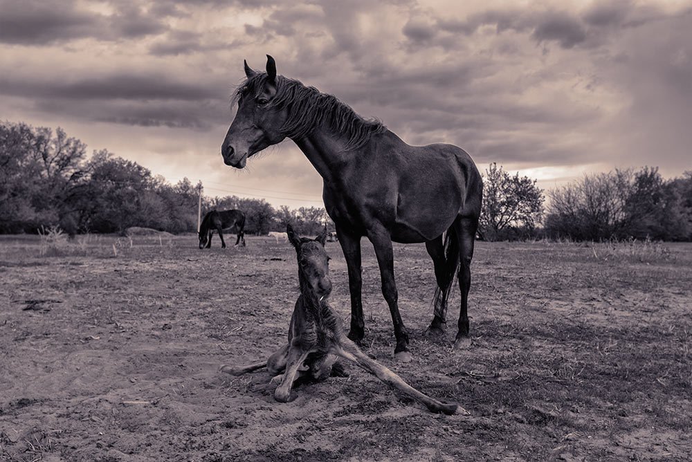 Фотография автора Игорь Баранов