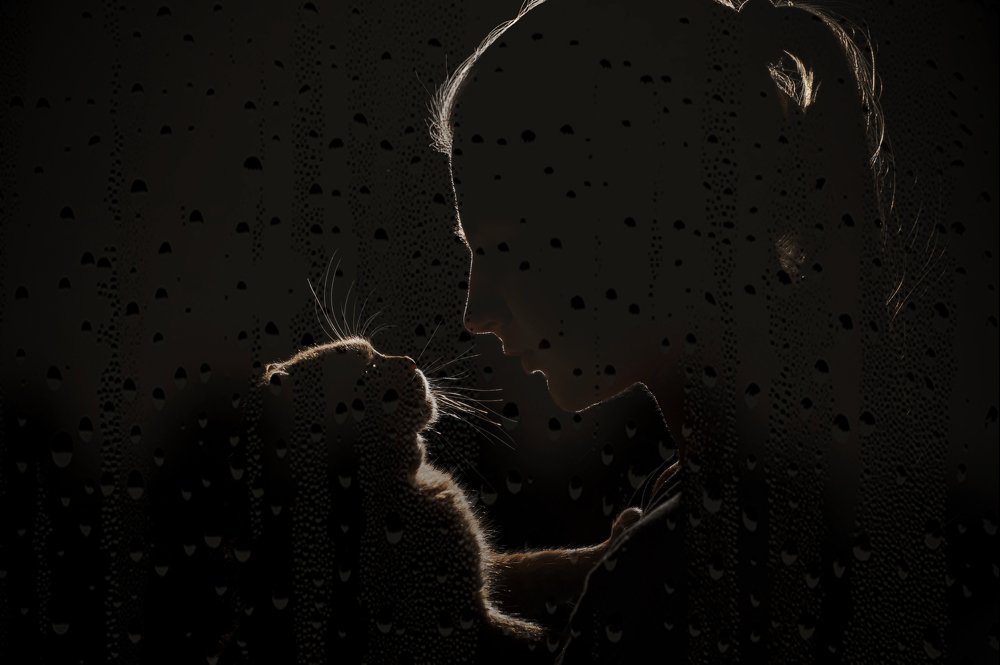 Photograph by Арина Арсений