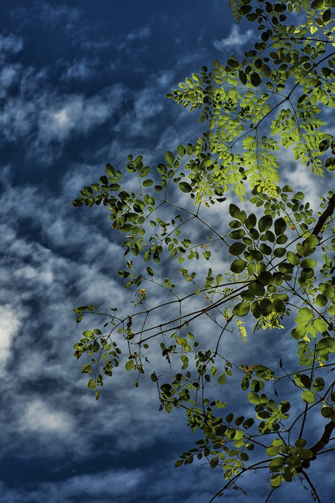 Фотография автора Arijit Mondal