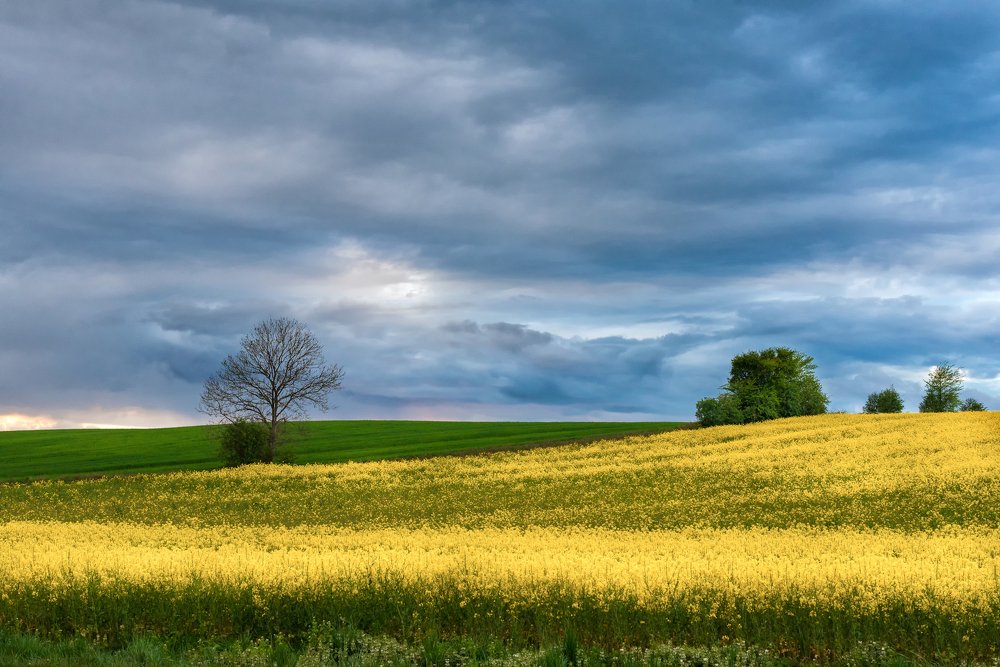Photograph by Константин Костин
