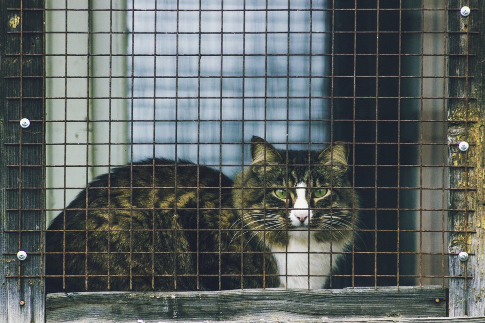 Photograph by Дмитрий Тимофеев