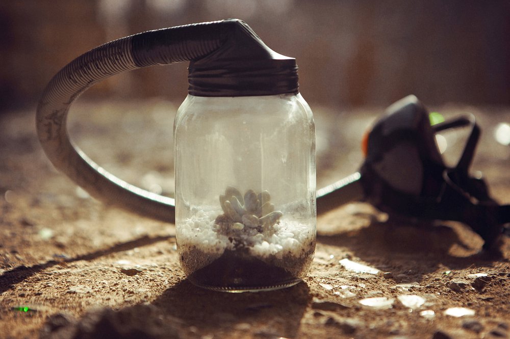 Фотография автора Юлия Капустинская