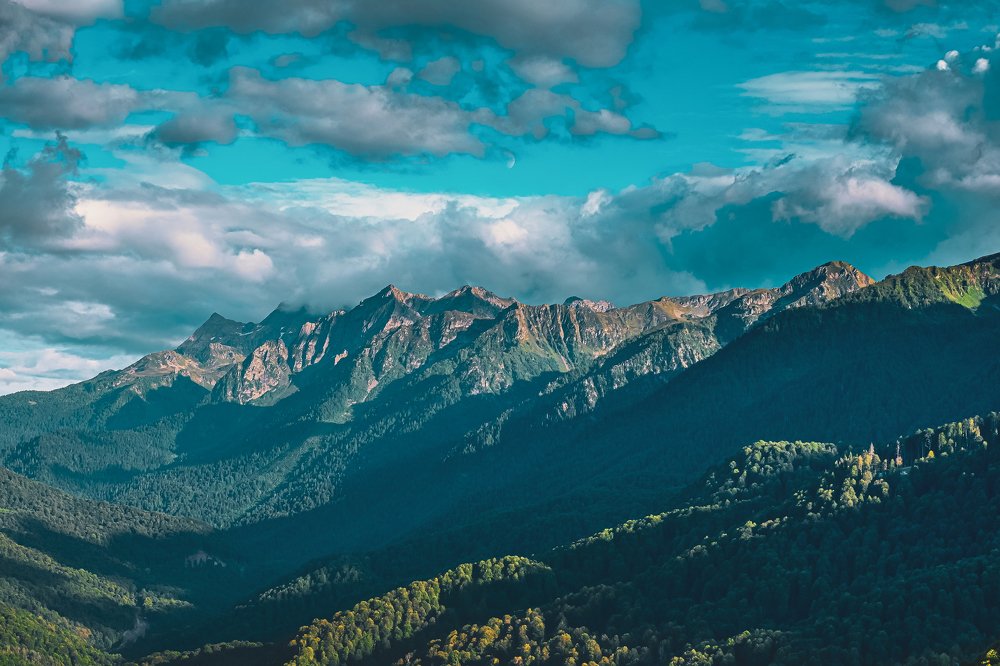 Photograph by Ilia Nikolenko