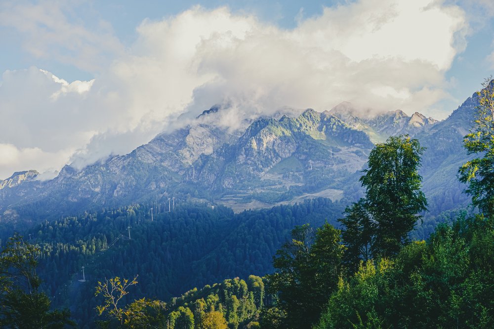 Photograph by Ilia Nikolenko