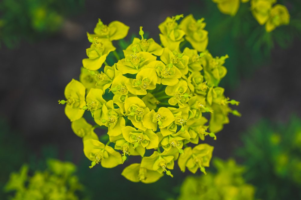 Photograph by Дмитрий Чернов