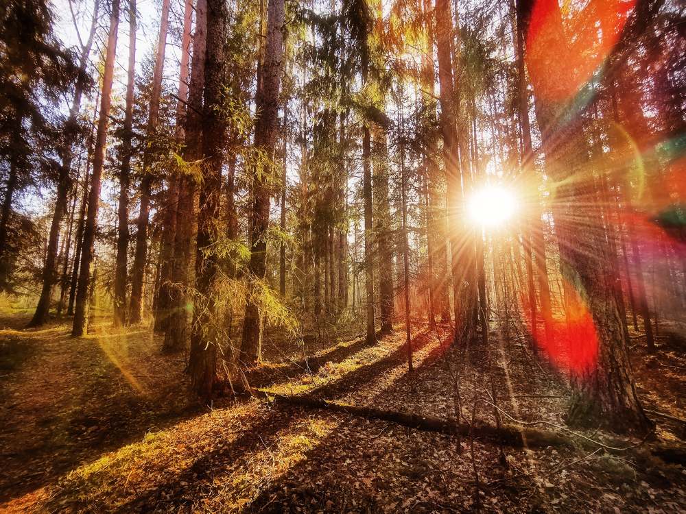 Photograph by Ирина Иванова