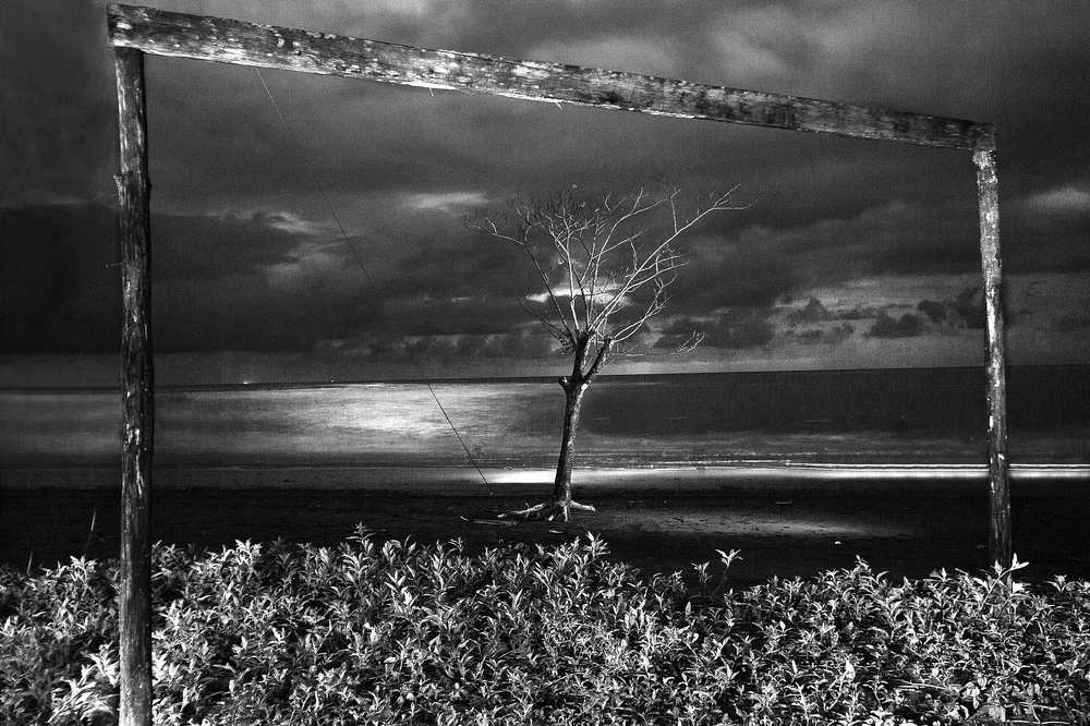 Photograph by ARMANDO FLOREZ