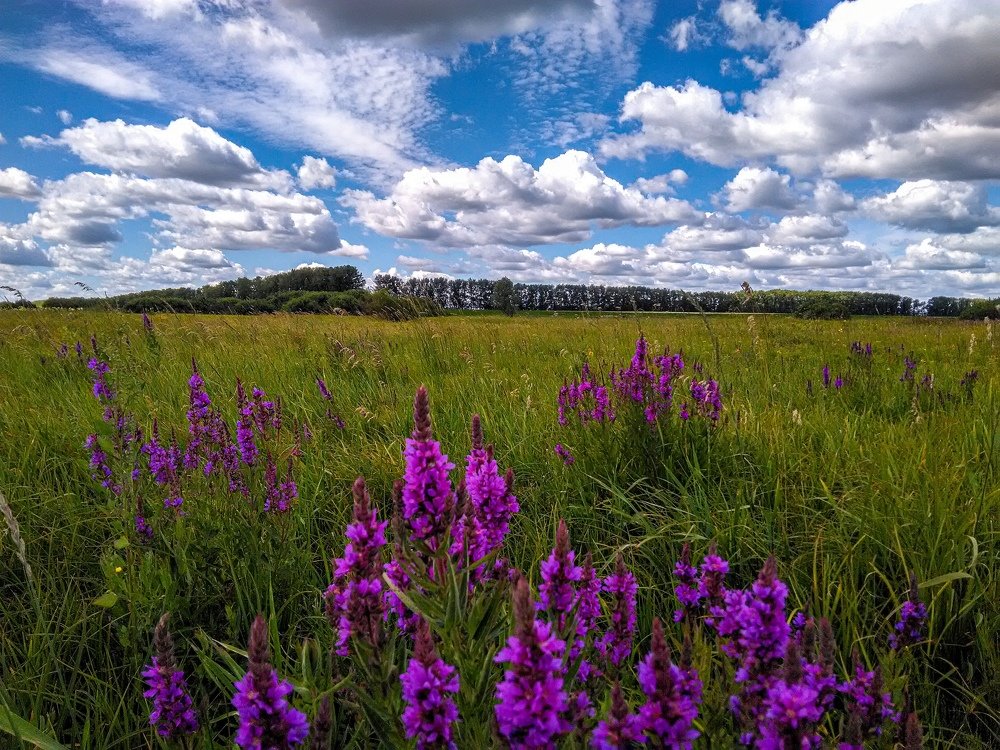 Photograph by Халил Альмяшев