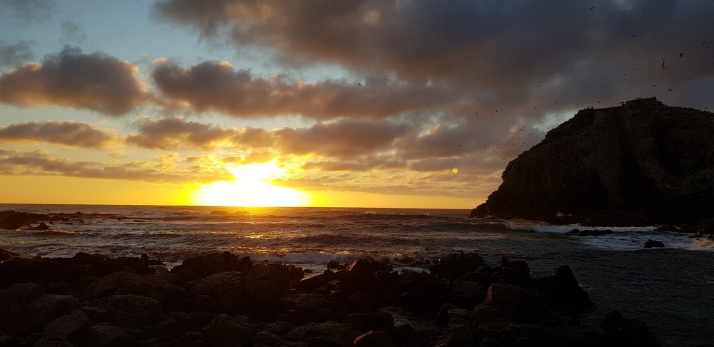 Photograph by José Luis Trisotti