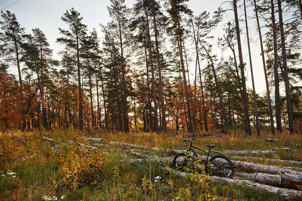 Фотография автора Линдеров Михаил
