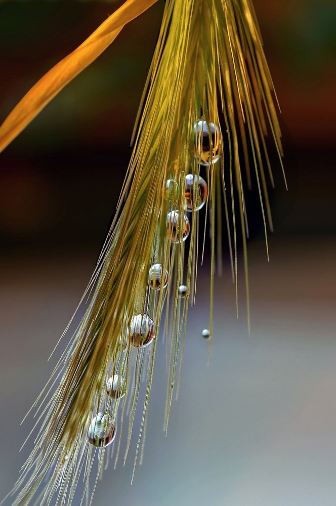 Хорошо сидим