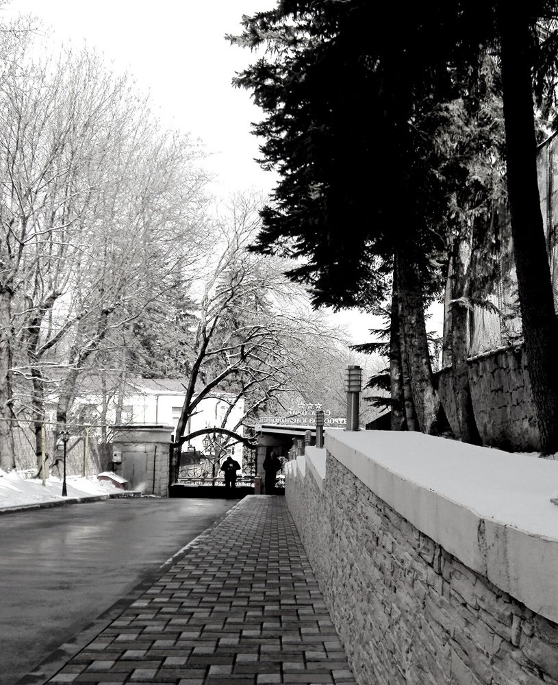 Март  - начало самоизоляции...