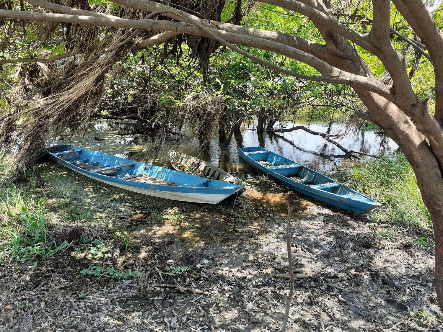 Descanso das canoas no Rio Mutuca