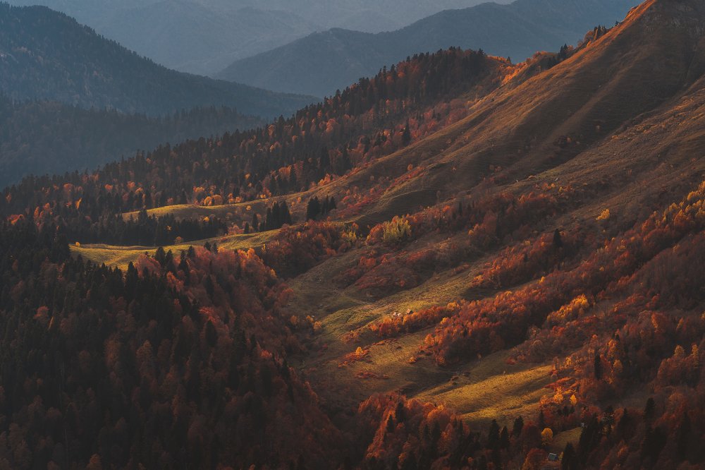 Фотография автора Анастасия Мазурева
