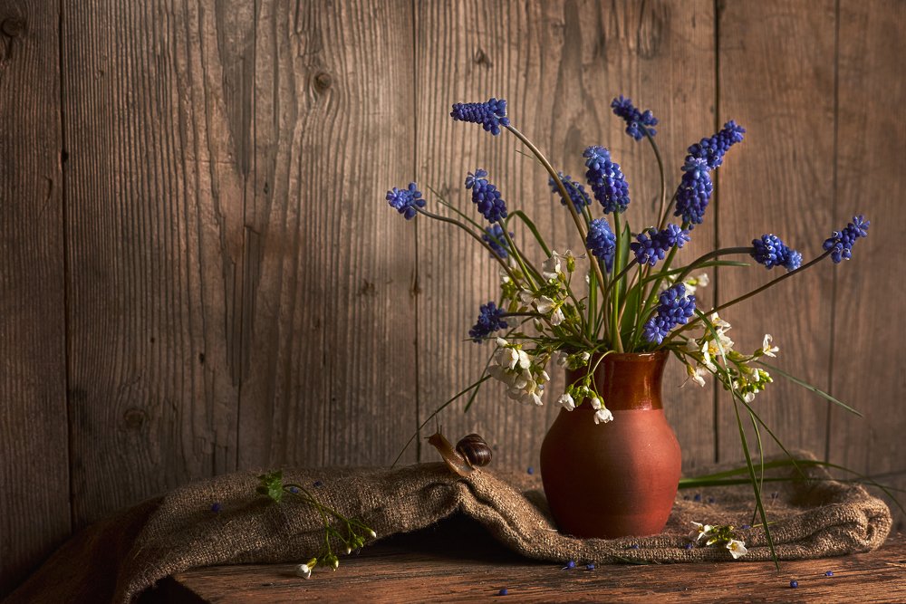 Photograph by Лариса Абрамова