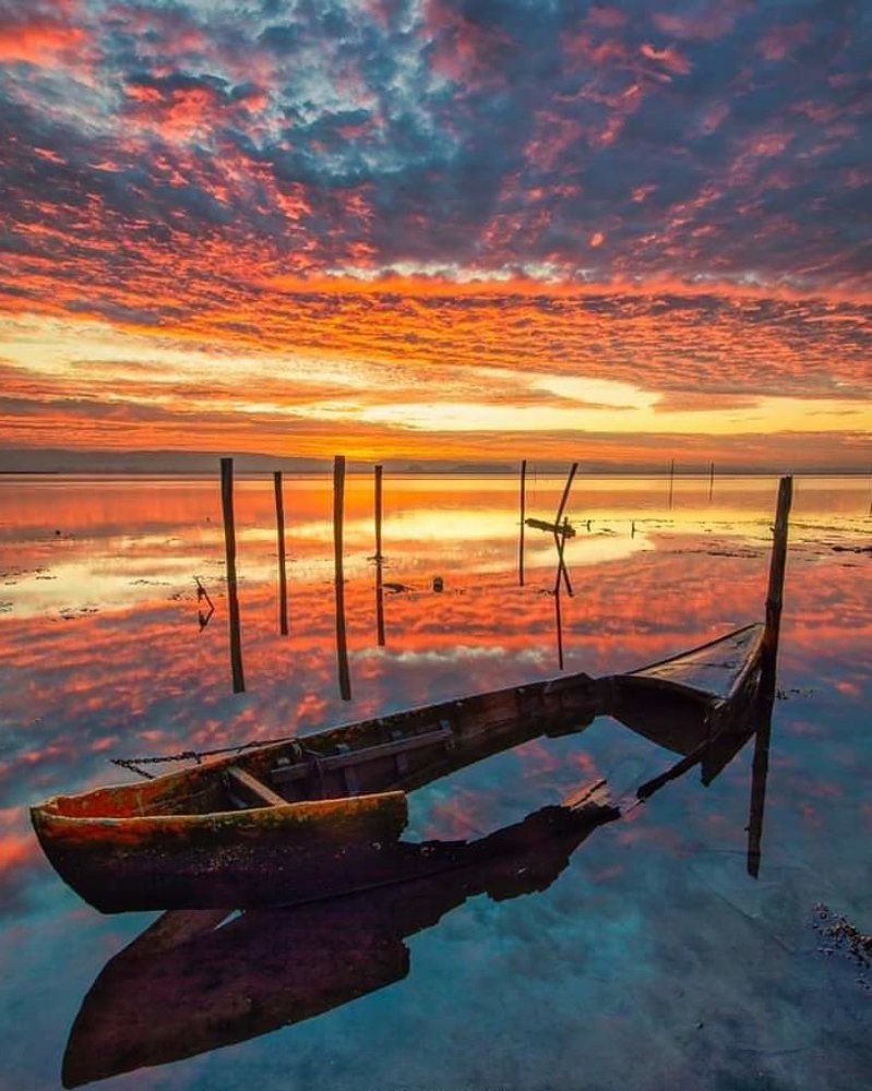 Photograph by Ricardo Silva