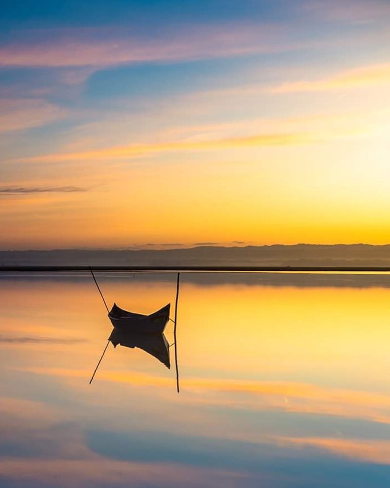 Photograph by Ricardo Silva