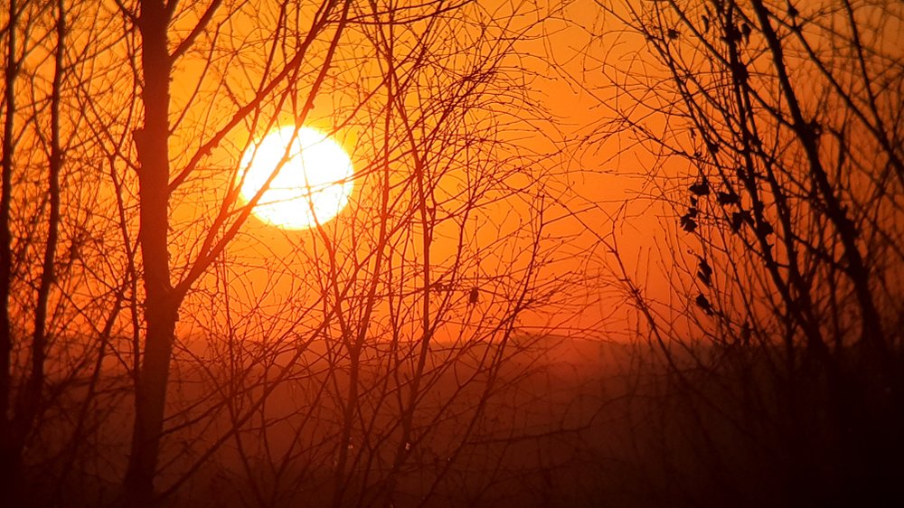 Photograph by Константин Пелых