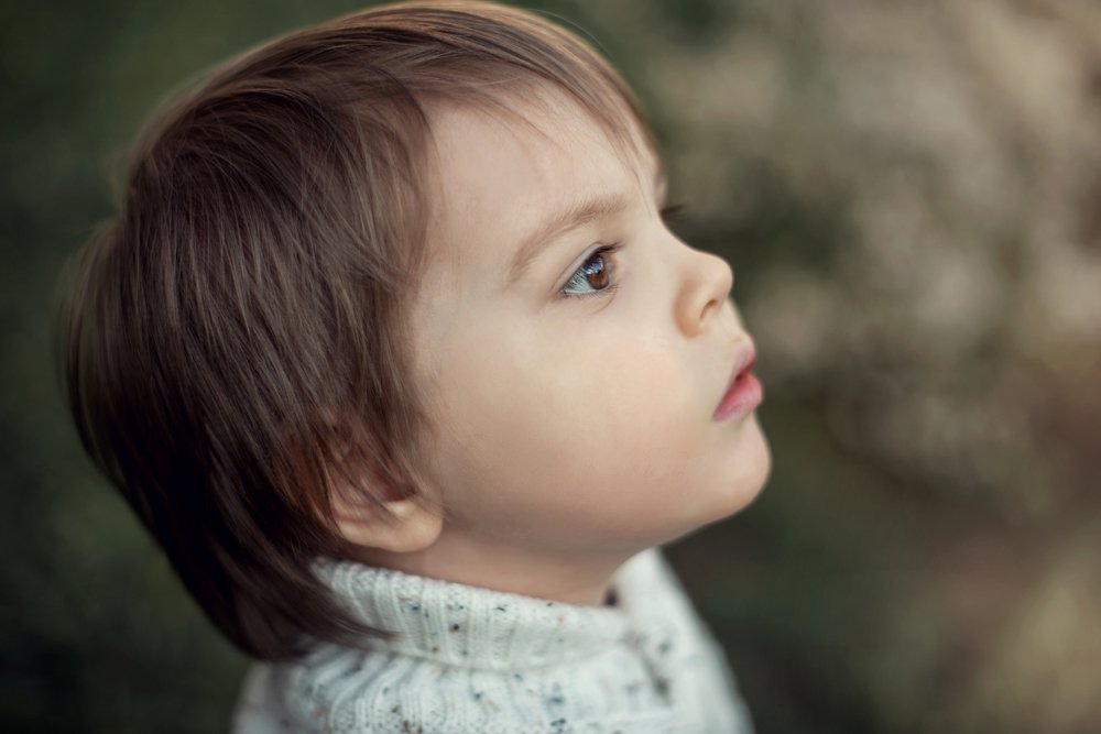 Photograph by Светлана Тетера