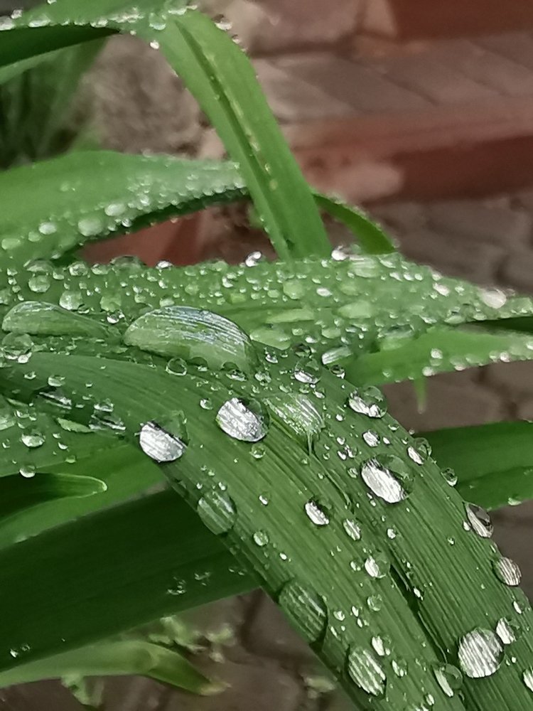 Photograph by Людмила Орловская