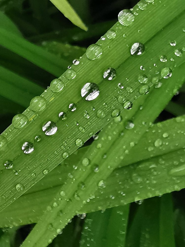 Photograph by Людмила Орловская