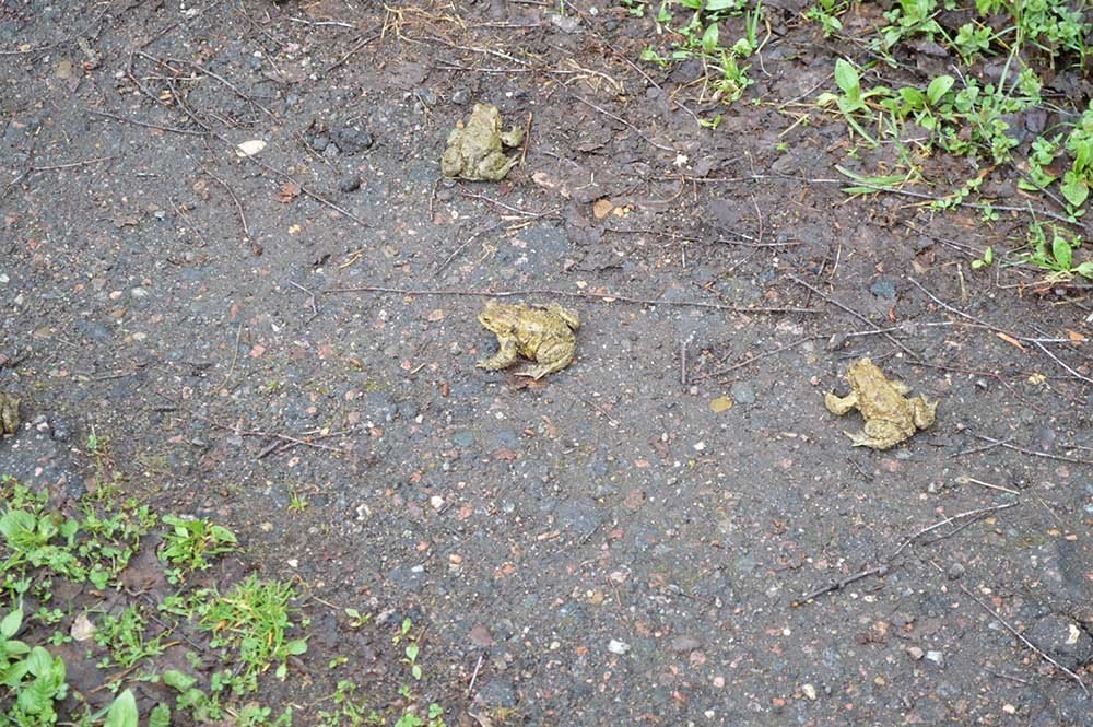 Photograph by Ксения