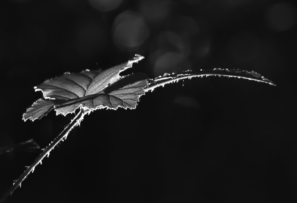 Photograph by Vitalii Kaznin