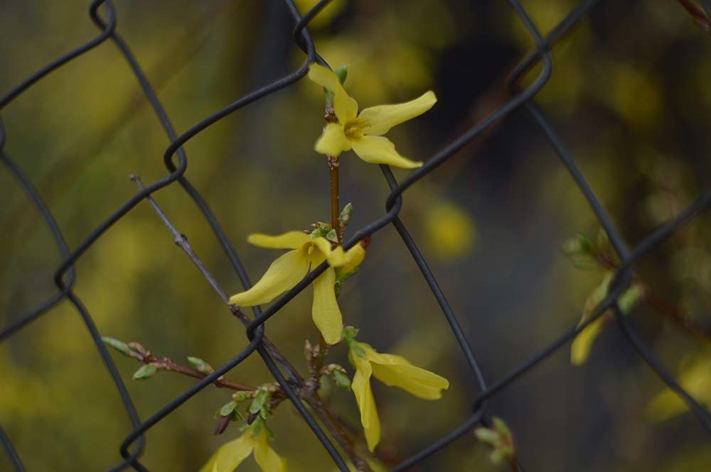 Photograph by Ксения