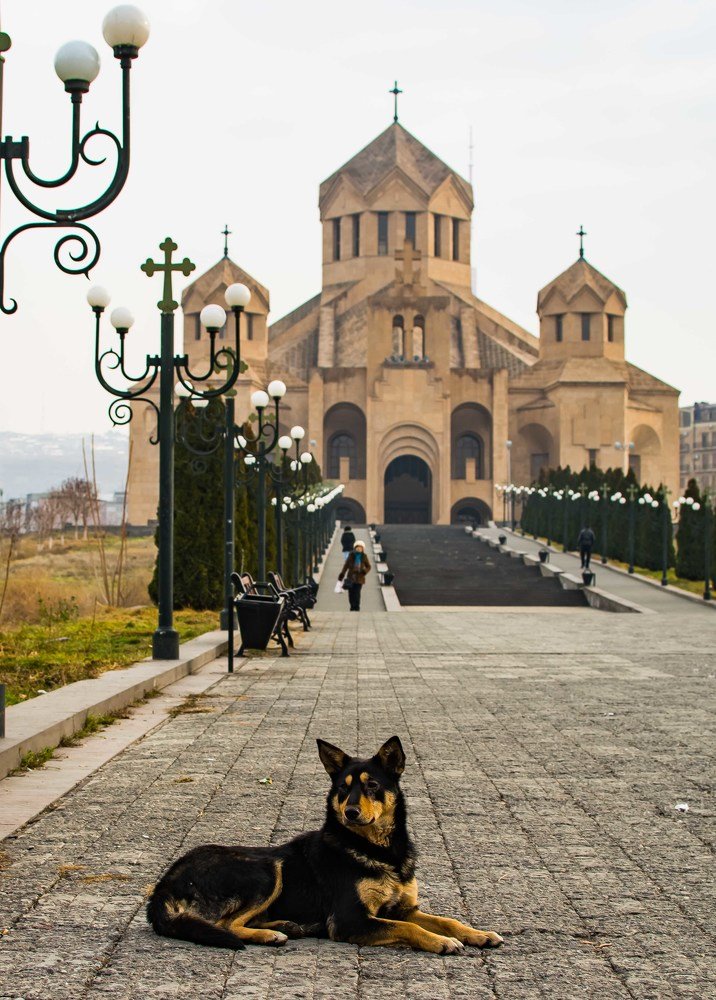 Photograph by Дмитрий Жижин