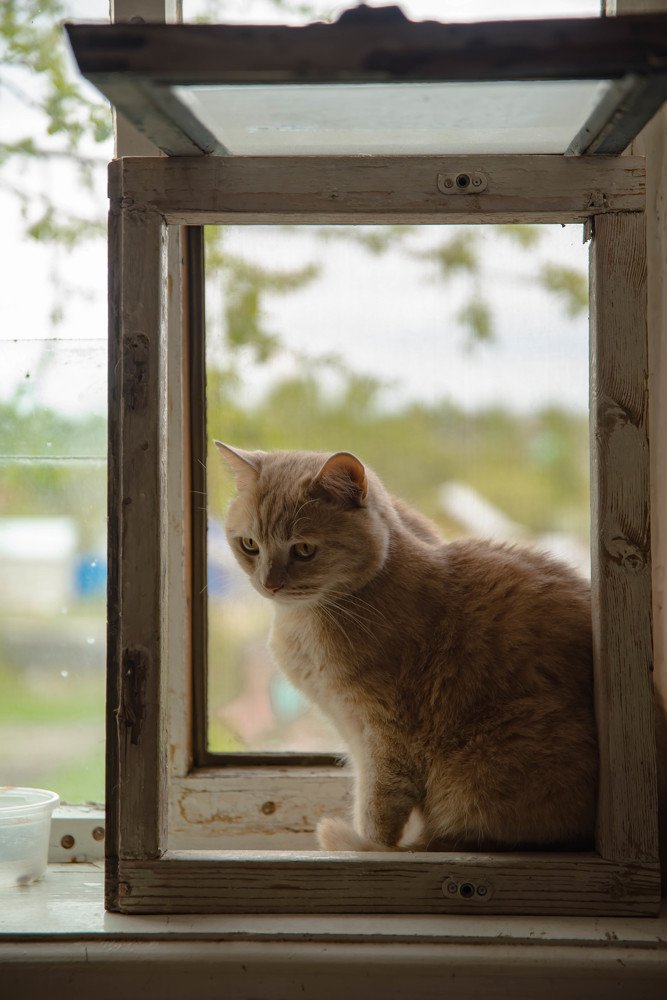 Photograph by Елена Прохорова