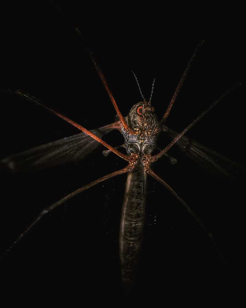 Photograph by Сергей Таранов