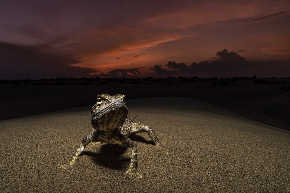 Photograph by Nilesh Shah