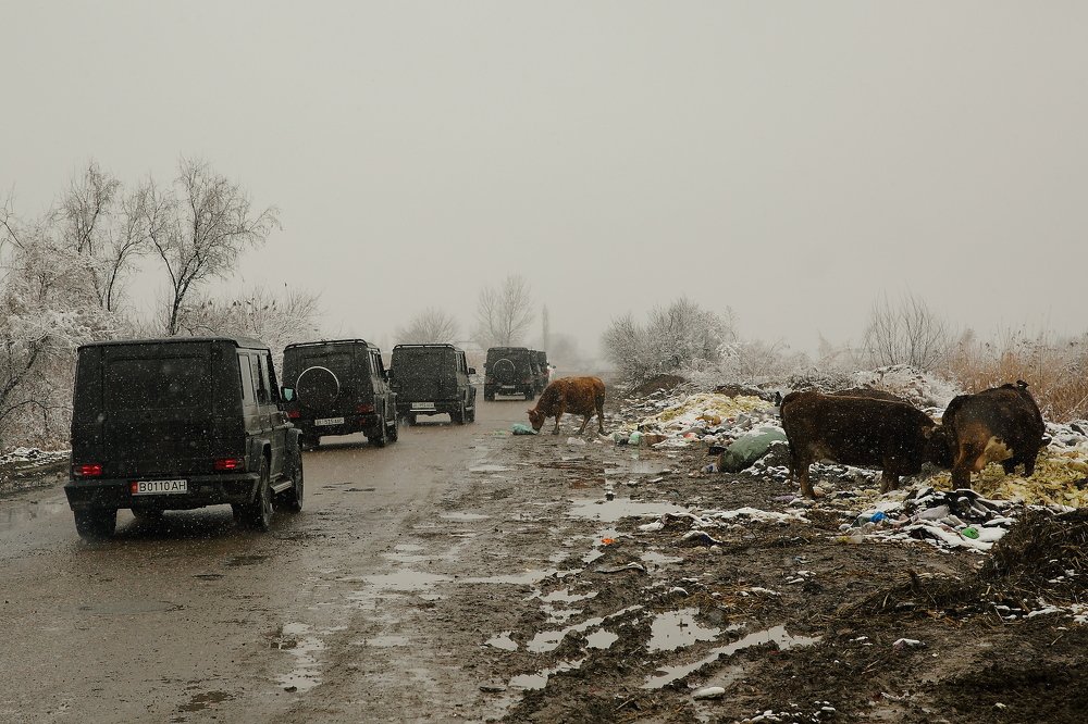 Свадебный кортеж