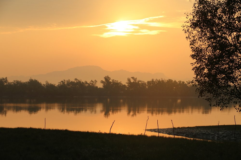 Blend of Morning sunshine