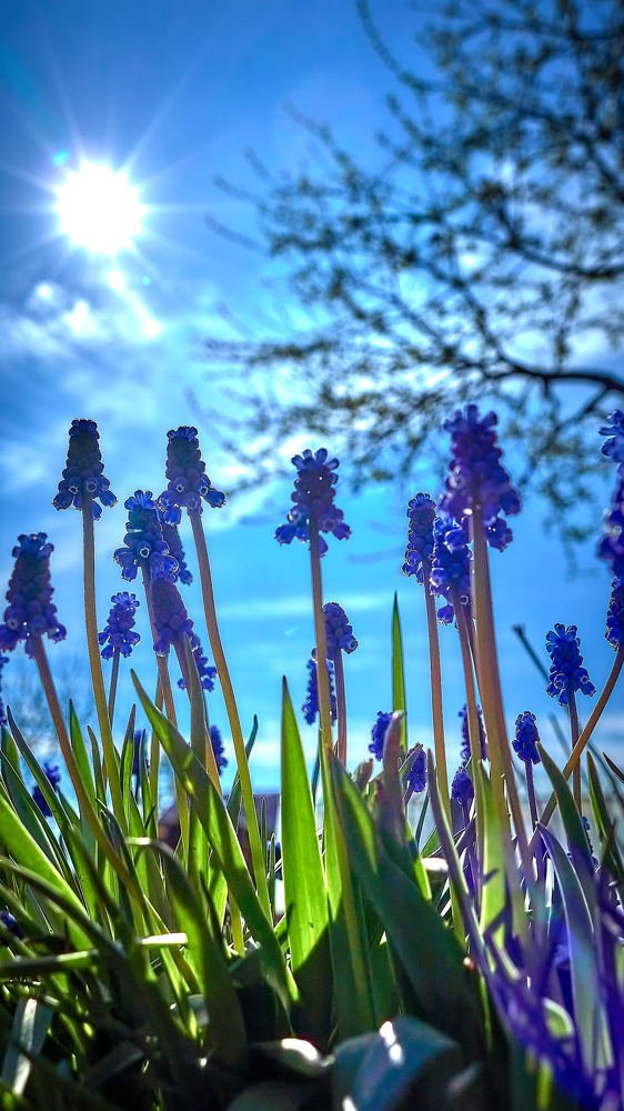 Photograph by Ruslan.S