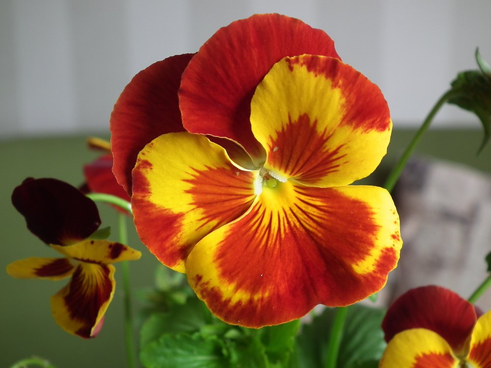 Photograph by UGUR CILDIR