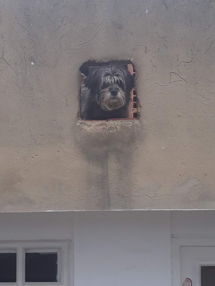Photo #4580820