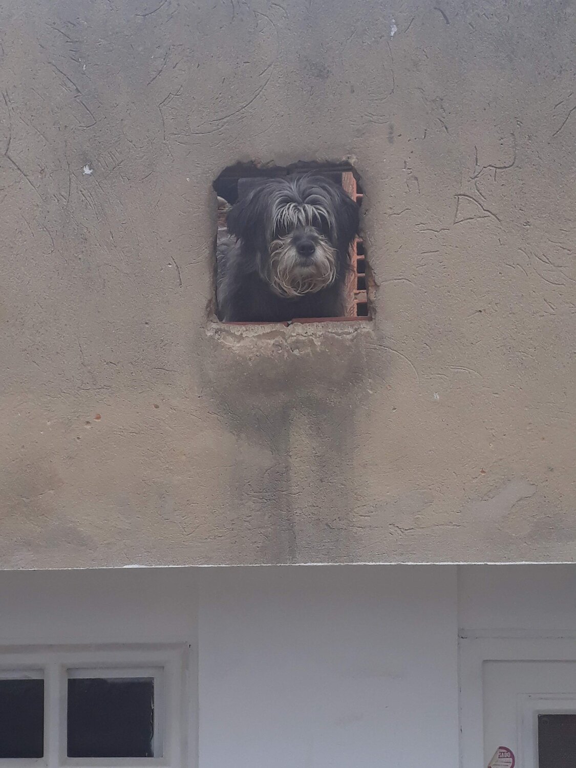 Photo #4580820