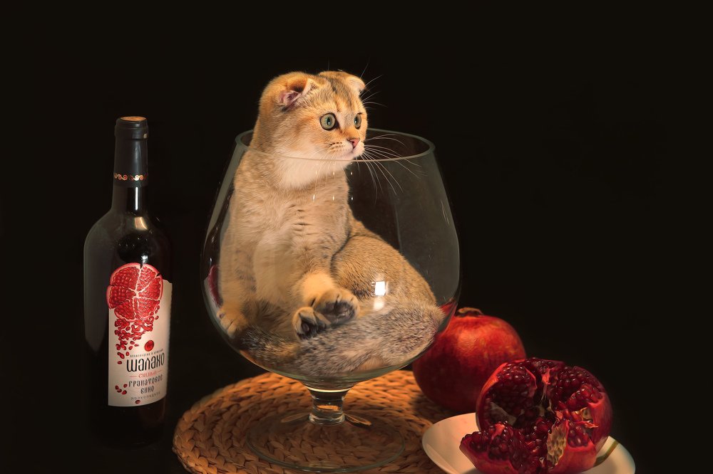 "Любимое вино"