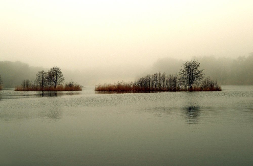 Photograph by Светлана Ковалёнок