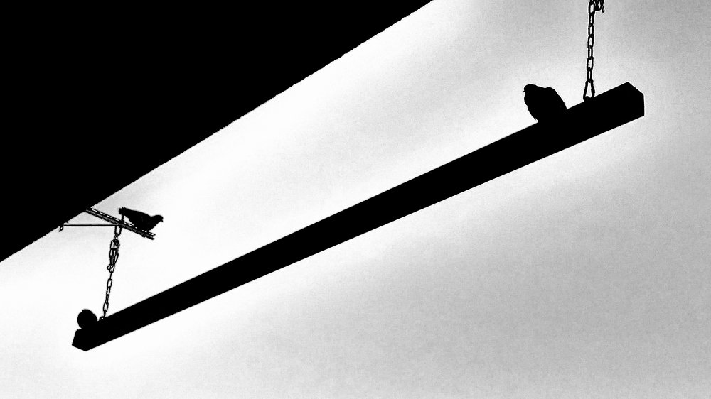 Photograph by Светлана Ковалёнок