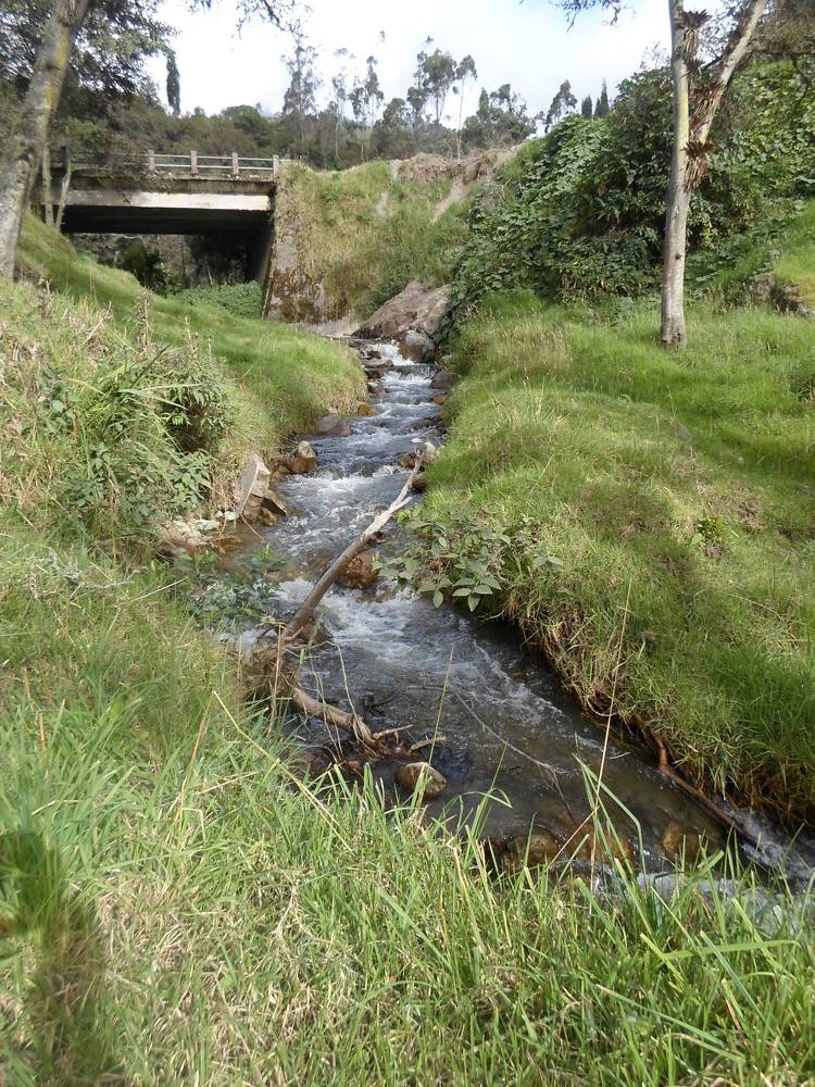 Photo #4581063