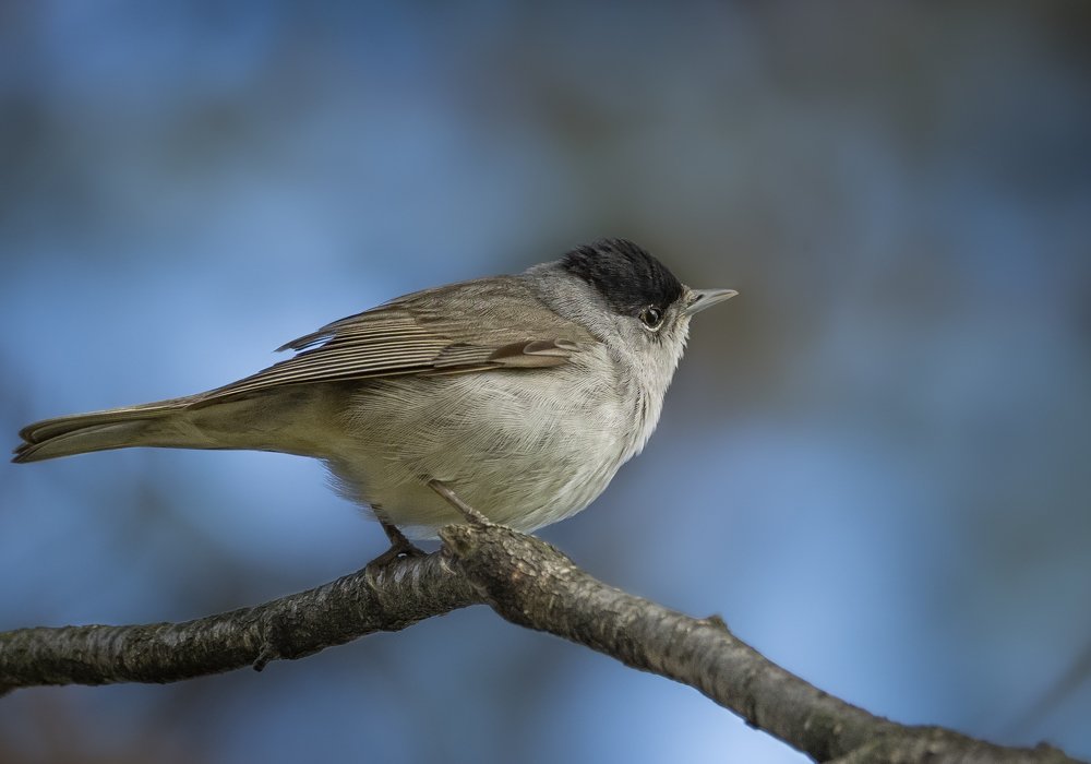 Photograph by Курлянцев Алексей