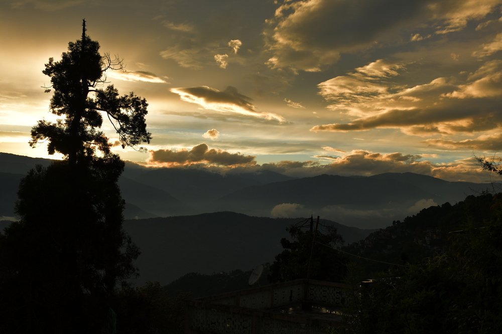 Thoughtful evening