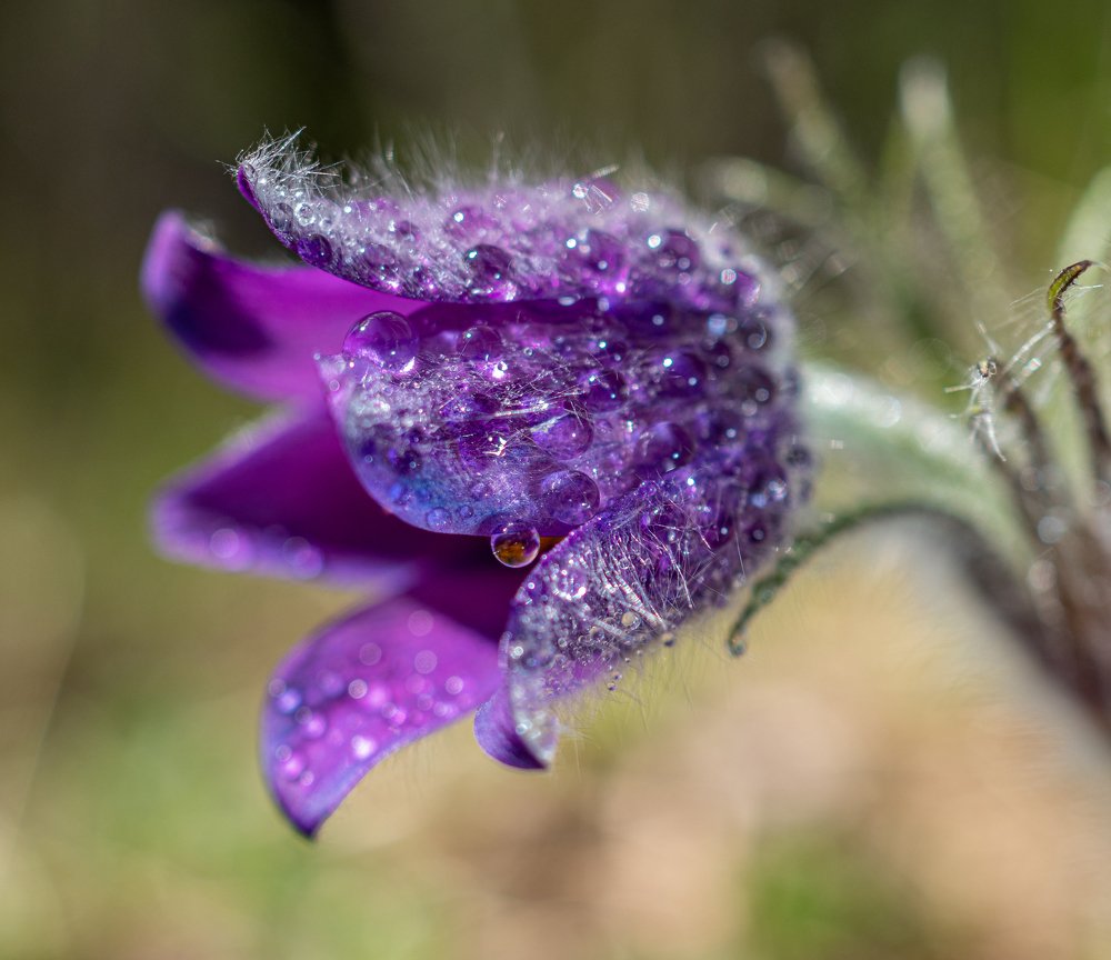 Photograph by Юрий Чернов