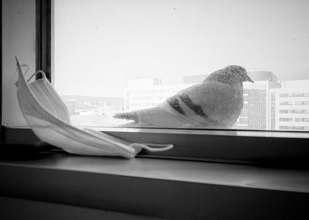 Photograph by Nesrin Ates