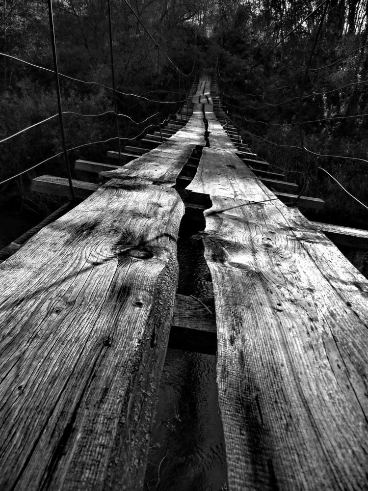 Photograph by Вероника Ратникова