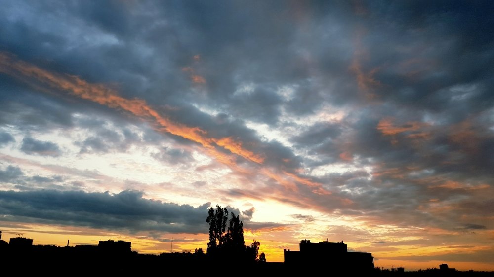 Photo #4581393