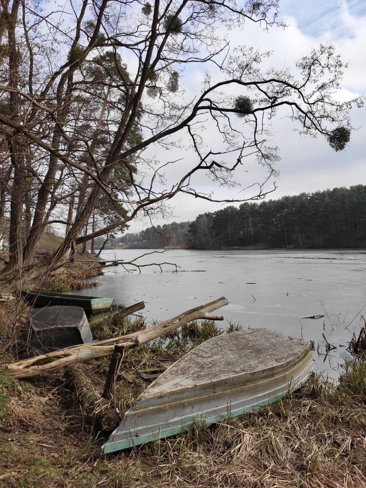 Тетерев. Зима 2020.